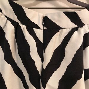 Express Skirts - Zebra Print Knee Length Skirt Express Skirts - Zebra Print Knee Length Skirt